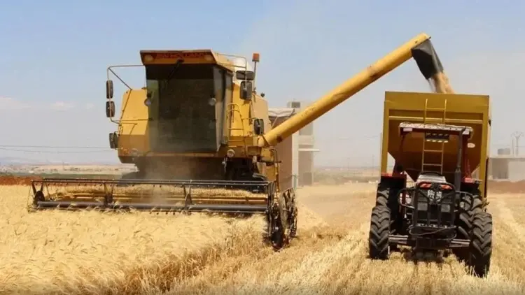 الخبز مهدد بالغياب عن موائد الملايين.. سوريا على أعتاب أزمة غذاء خطيرة