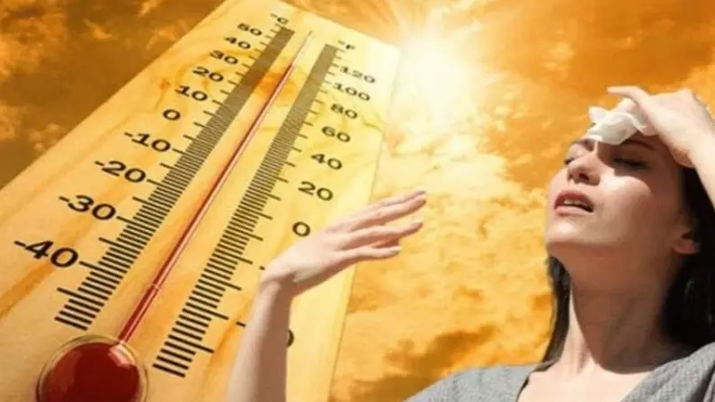 هكذا ستكون حالة الطقس غدا الجمعة فى مصر