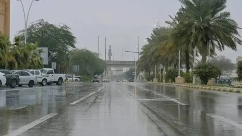 فيديو – أمطار الخير في منطقة جازان.. مشاهد بديعة تثير تفاعلًا واسعًا