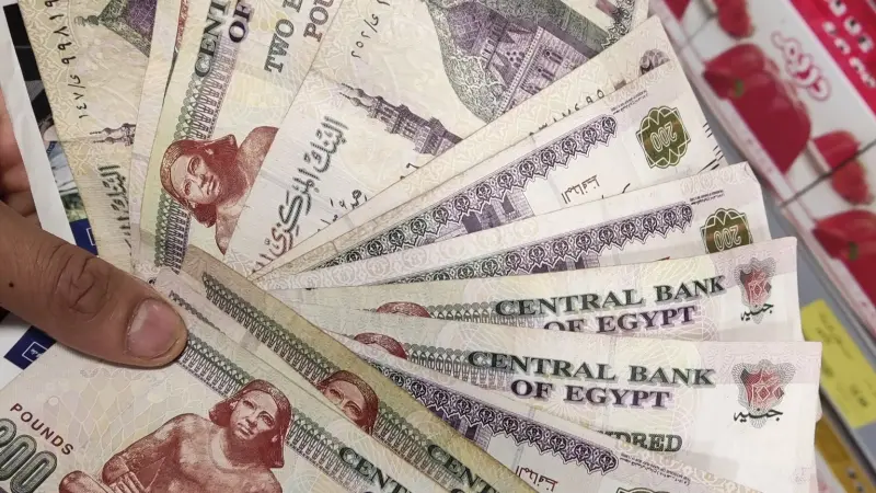 مصر - إليك موعد تطبيق الحد الأدنى للأجور للعاملين بالقطاع الخاص