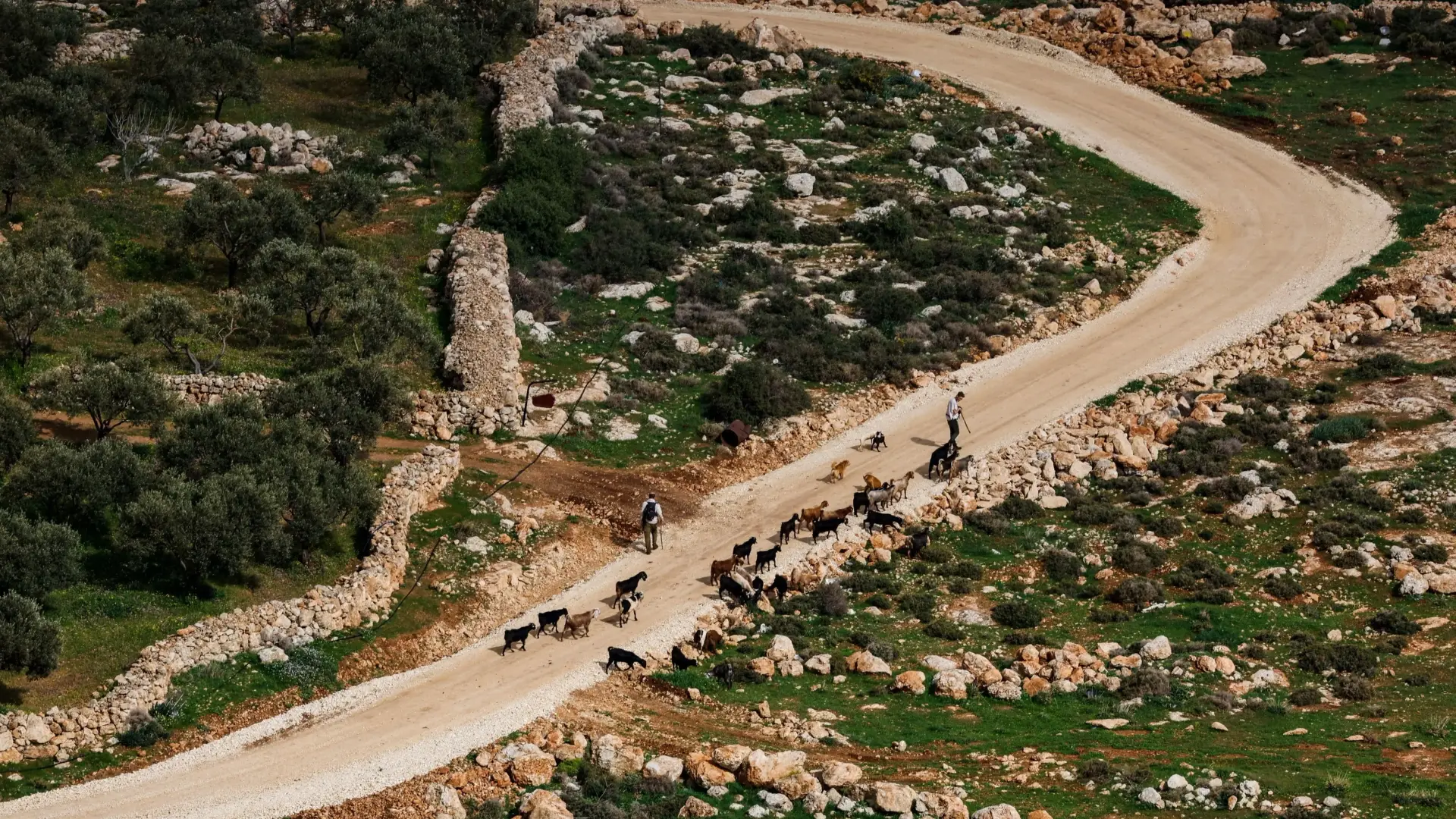 وزير خارجية بريطانيا: بعض الوزراء في إسرائيل يدعمون المستوطنين في الضفة (رويترز) وزير خارجية بريطانيا: بعض الوزراء في إسرائيل يدعمون المستوطنين في الضفة (رويترز)