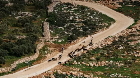 بريطانيا تتهم مستوطنين إسرائيليين بممارسة تطهير عرقي في الضفة