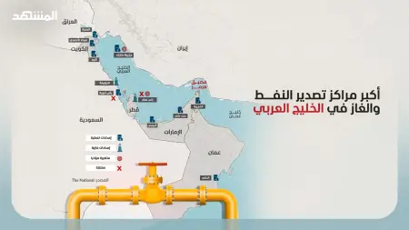 واشنطن تدرس حماية ناقلات النفط والغاز في مضيق هرمز