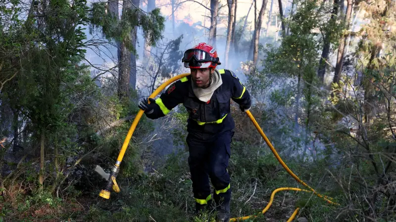 "كارثة بيئية".. ما أسباب حرائق الغابات بفرنسا؟