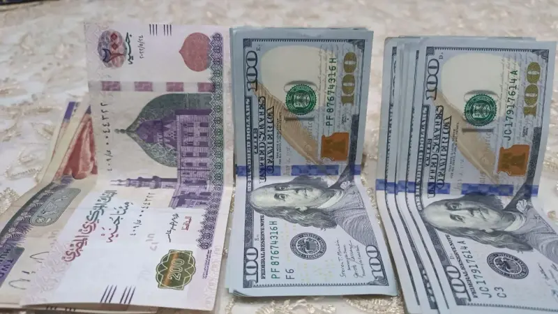سعر الدولار اليوم مقابل الجنيه في مصر الاثنين 5/10/2026.. تماسك عند القمة