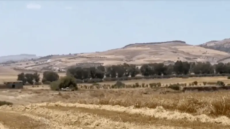 فيديو - تونس.. موسم حصاد مبشر بعد سنوات من الجفاف وضعف الإنتاج