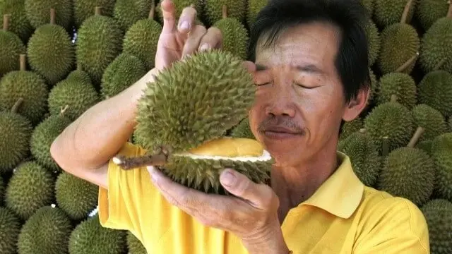 ألمانيا.. فاكهة آسيوية تستنفر الإطفاء 4 مرات