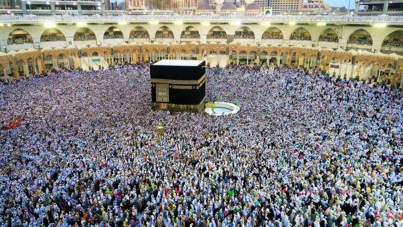 جهود المملكة في خدمة الحجاج.. أداء مشهود