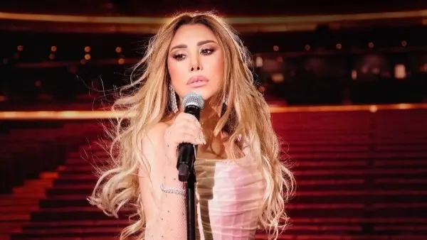 فيديو - في أمستردام.. سقوط نجوى كرم على المسرح يثير تفاعل جمهورها