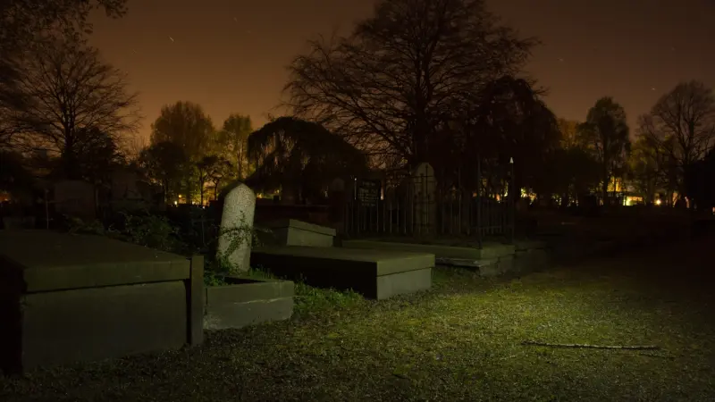 حادثة مريبة.. سرقة جثث الموتى في مصر والأمن يوضح