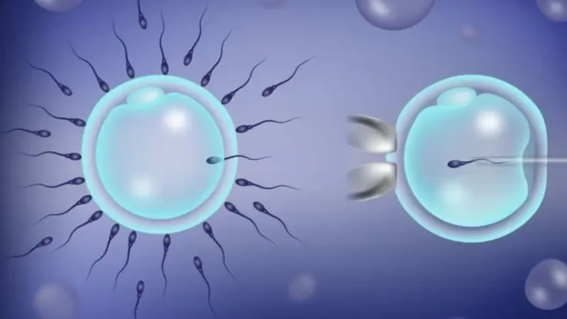 دراسة: عقار يزيد من معدلات نجاح التلقيح الاصطناعي