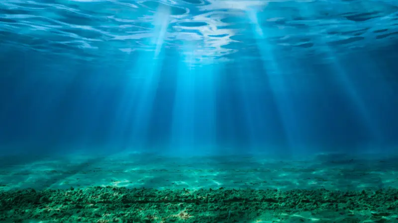 قنبلة موقوتة تهدد البحار والمحيطات.. ما القصة؟