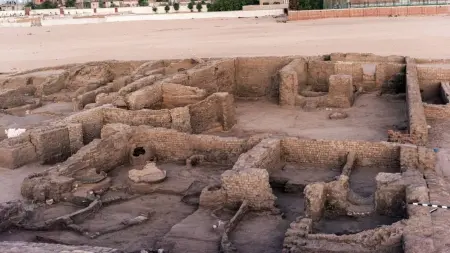 related_news_inside_blogsاكتشاف فريد في مصر.. قرية شيخ العرب همام تبوح بأسرارها