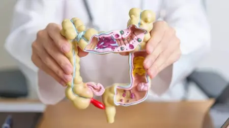 related_news_inside_blogsطريقة واعدة من كوريا لإبطاء سرطان القولون