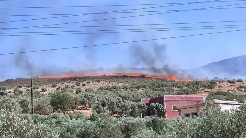 حرائق ريف حماة تخرج عن السيطرة.. ومناشدات لتدخل جوي عاجل