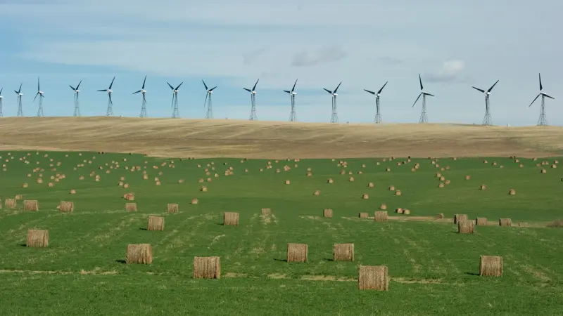 المغرب يخصص مليون هكتار لمشروعات الهيدروجين الأخضر