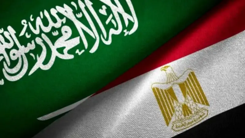 تحالف مصري سعودي عسكري في البحر الأحمر.. ما دوافعه وأهدافه؟