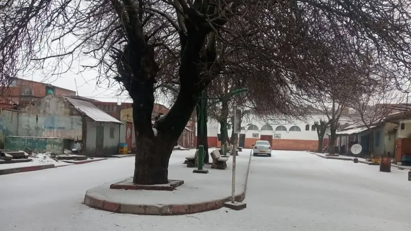 فيديو - هذه هي الطرق المقطوعة في الجزائر جراء التقلبات الجوية