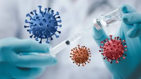 related_news_inside_blogsماذا يحدث إذا أصبت بفيروس نيباه؟