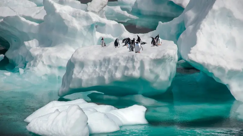 إنذار من القطب الجنوبي.. الأرض تدخل مرحلة احترار أسرع من التوقعات