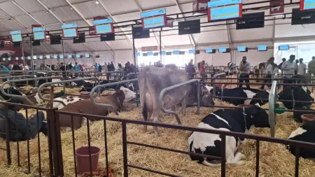 related_news_inside_blogsافتتاح المعرض الدولي للفلاحة بالمغرب يجذب الأنظار إلى مكناس