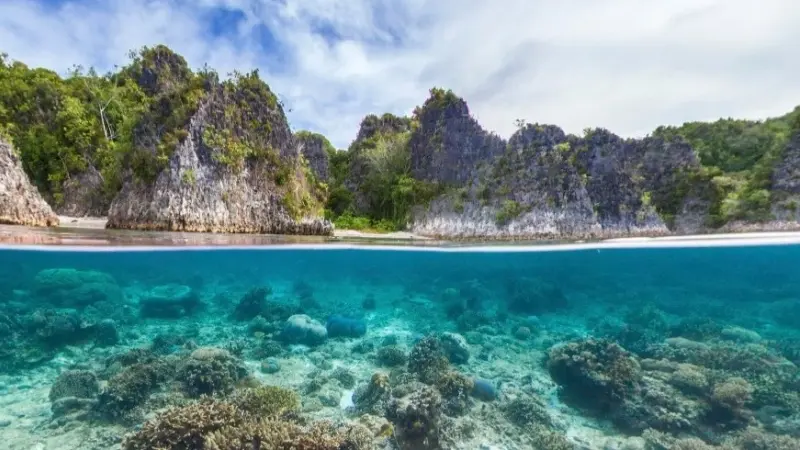 اليونسكو تضم 26 محمية طبيعية حول العالم لقائمة التراث