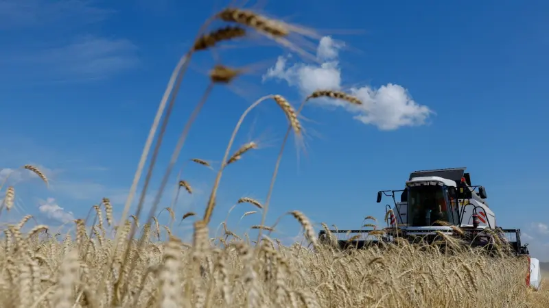 روسيا تُرسل 25 ألف طن من الحبوب إلى دولة إفريقية