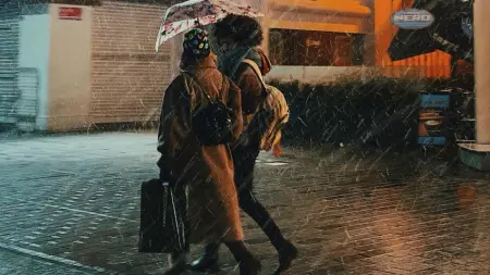 موعد انتهاء فصل الشتاء 2026.. التفاصيل الفلكية الكاملة وتوقيت بدء الربيع