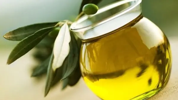 تونس.. الديوان الوطني للزيت يحدّد آليات شراء زيت الزيتون