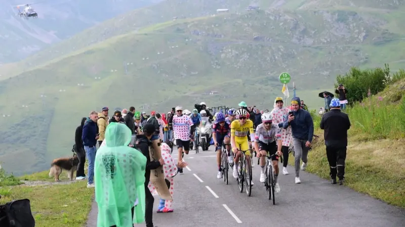 وباء الماشية يربك طواف فرنسا