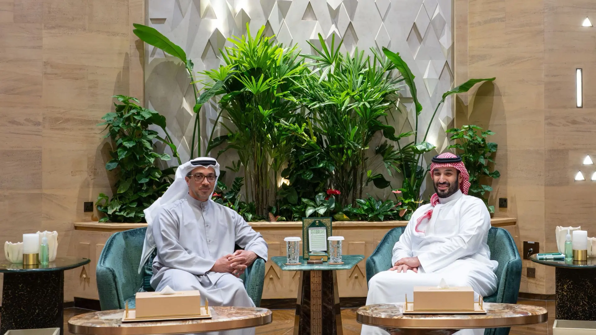 منصور بن زايد ومحمد بن سلمان يبحثان العلاقات الإماراتية السعودية وتطورات المنطقة (وام) منصور بن زايد ومحمد بن سلمان يبحثان العلاقات الإماراتية السعودية وتطورات المنطقة (وام)