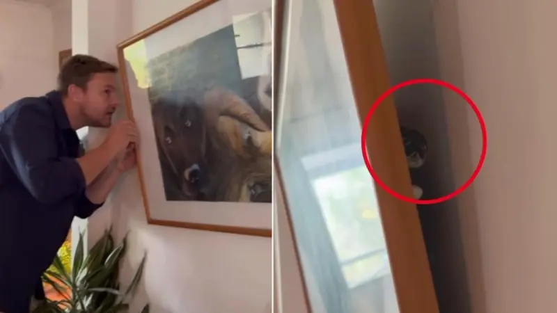 فيديو - مشهد مخيف.. عائلة تعثر على أفعى ضخمة خلف لوحة الحائط