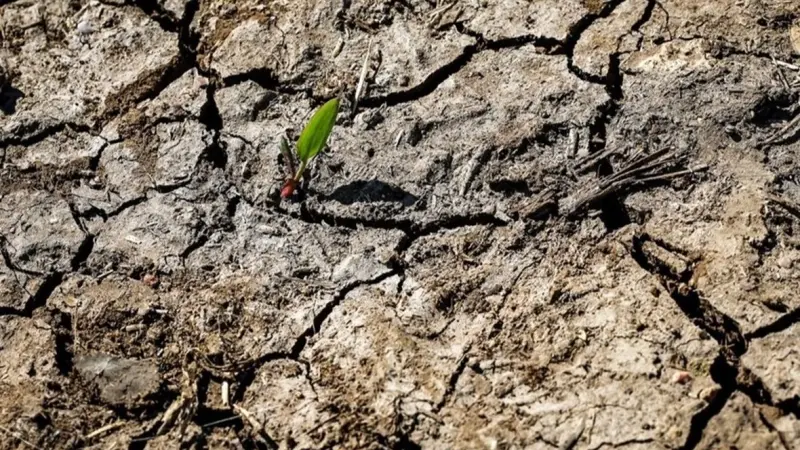 تقرير: مستقبل الشرق الأوسط على المحك بسبب درة المياه