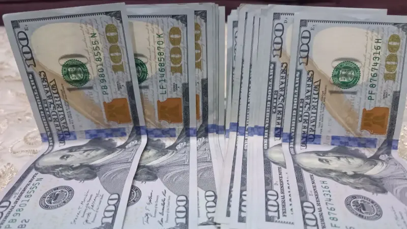 سعر الدولار الأميركي مقابل الجنيه المصري اليوم الأحد 26/7/2026.. "الأخضر" أقوى
