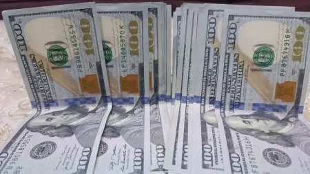 related_news_inside_blogsسعر الدولار الأميركي مقابل الجنيه المصري اليوم الأحد 26/7/2026.. "الأخضر" أقوى