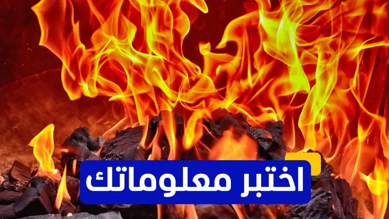 اختبر معلوماتك - أي من الدول ليست من بين أكبر ثلاث دول منتجة للفحم في العالم؟