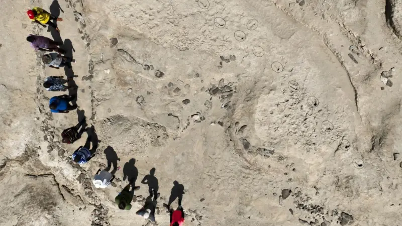 من الماضي العميق.. آثار أقدام تُعيد كتابة تاريخ تطور البشر