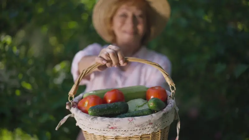 سحب الخيار من 26 ولاية أميركية.. ما القصة؟