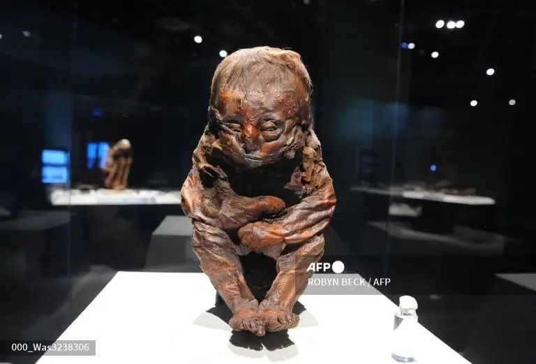 مومياء طفل عمرها آلاف السنين (أ ف ب) مومياء طفل عمرها آلاف السنين (أ ف ب)