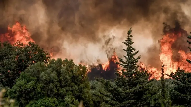 أكثر من 50 حريق غابات شرق أستراليا #حرائق 