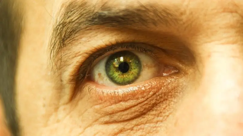 مركبات في الشاي والشوكولاتة تعزز حماية البصر  - المشهد