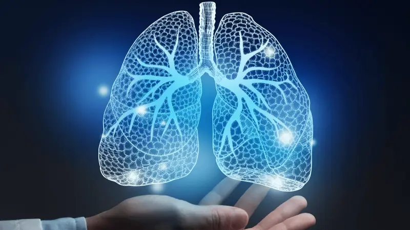 ابتكار ثوري.. تطوير رئة مصغرة باستخدام خلايا جذعية - المشهد