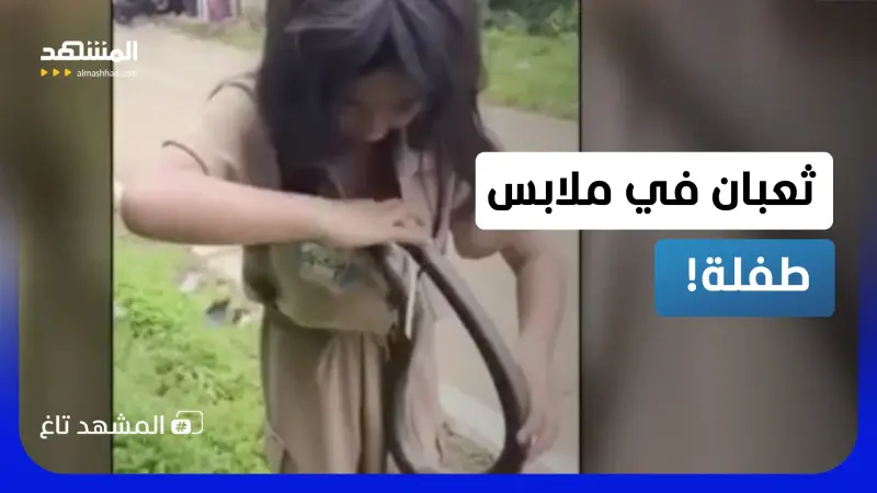 news_suggested_videos_طفلة تخفي ثعباناً داخل ملابسها وتفاجئ والدها!  
