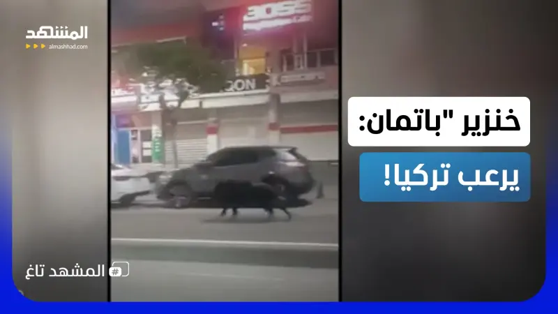 news_suggested_videos_خنزير "باتمان" يُهاجم 3 أشخاص في تركيا  