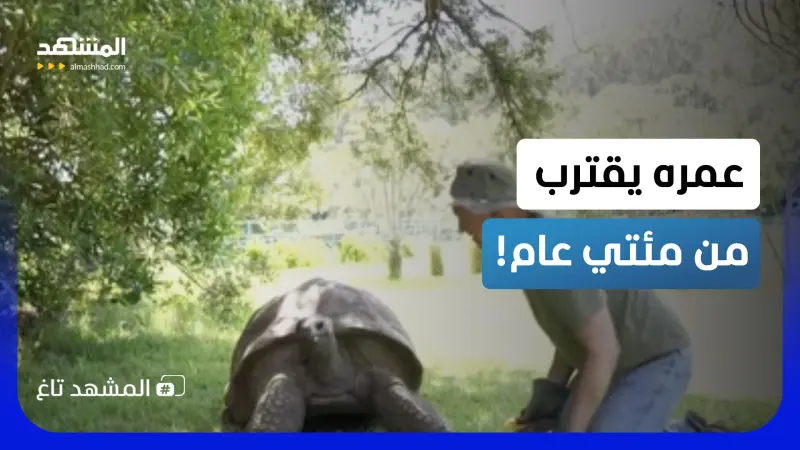 news_suggested_videos_ جوناثان بـ194 عاماً..غينيس تحتفي بأكبر معمر على وجه الأرض!