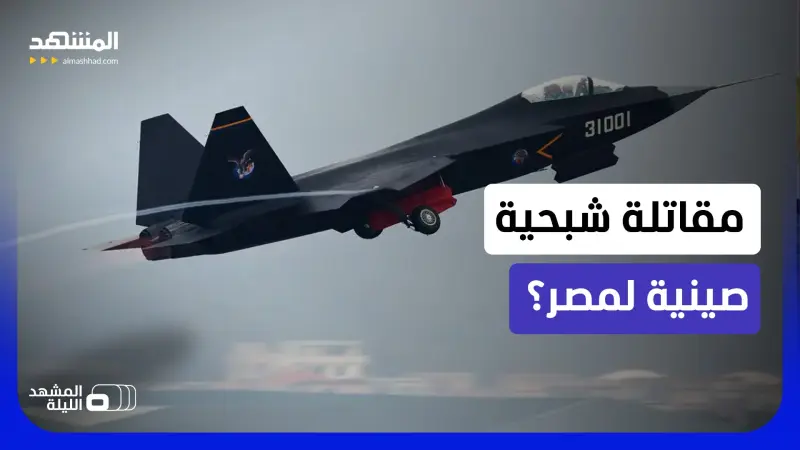 news_suggested_videos_"إف سي 31" الصينية إلى مصر؟ هل تفتح القاهرة باب الجيل الخامس أم تستخدم الورقة بذكاء؟