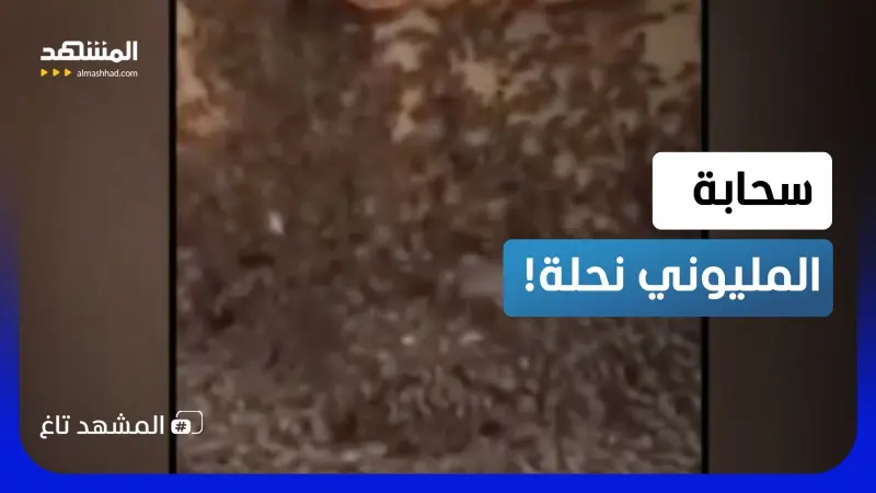 news_suggested_videos_سحابة مرعبة.. انقلاب شاحنة يطلق مليوني نحلة في تكساس!