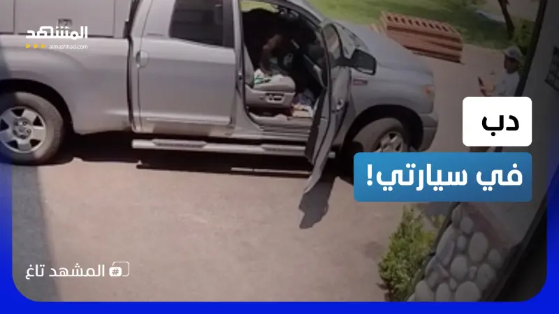 news_suggested_videos_الراكب المرعب.. مفاجأة غير متوقعة لرجل وجد دباً داخل سيارته!