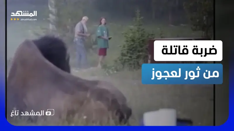 news_suggested_videos_صوّره فاستفزّه.. وثور البايسون أرسله طائرًا بنطحة واحدة 