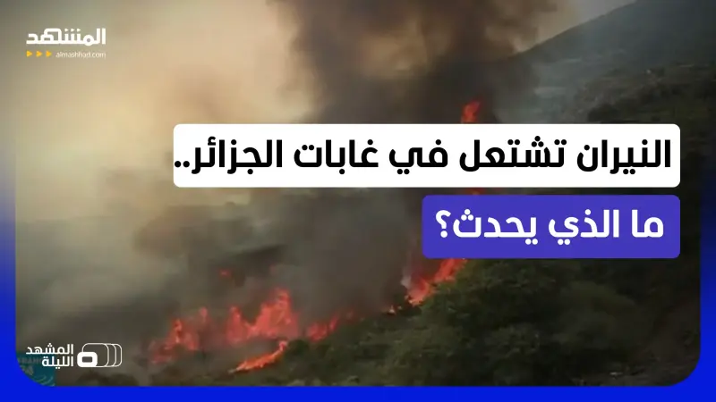 news_suggested_videos_ غابات الجزائر.. نيران الحرائق تتمدد والسلطات تسخر كل الإمكانيات.. فهل نحن أمام حدث استثنائي؟